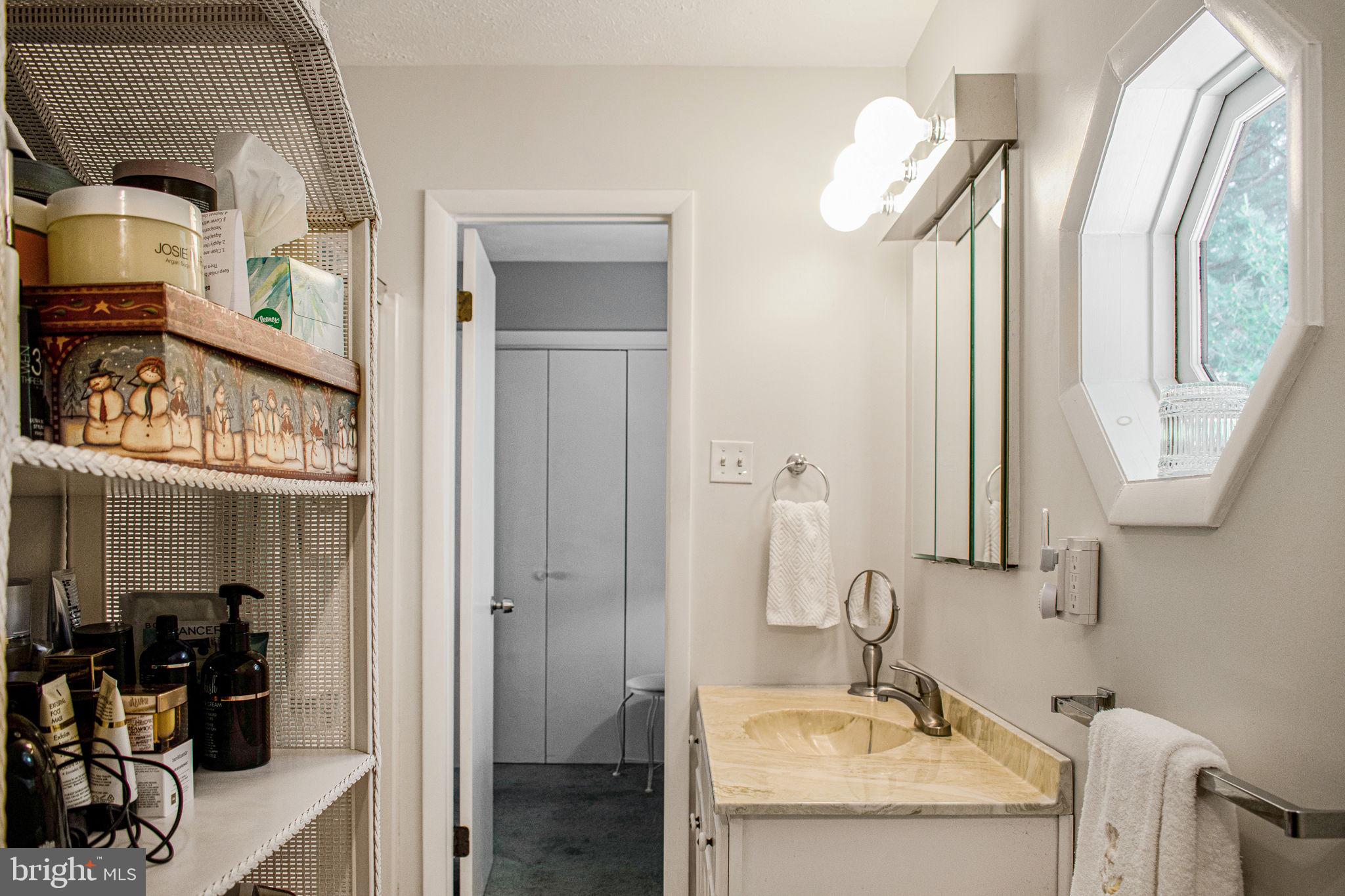 6010 Clevelandtown Road Boonsboro, MD 21713 - Photo 21 of 59 Master Bedroom Bathroom