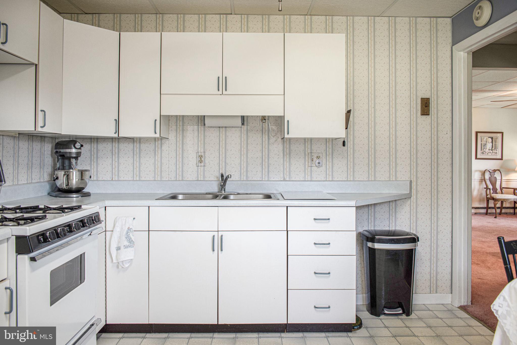 6010 Clevelandtown Road Boonsboro, MD 21713 - Photo 24 of 59 Mother-in-law-Suite Kitchen