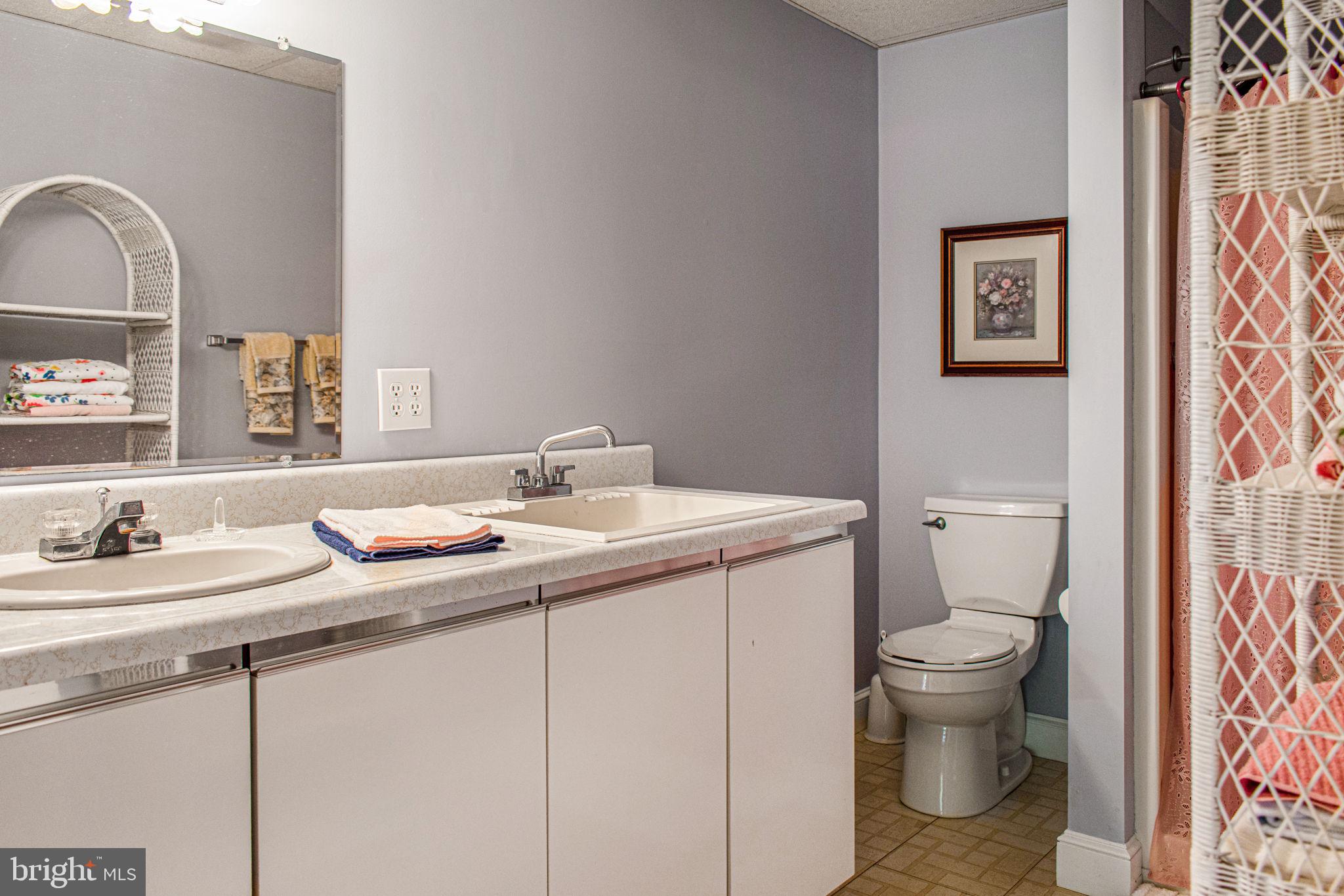 6010 Clevelandtown Road Boonsboro, MD 21713 - Photo 27 of 59 Mother-in-law-suite Full bathroom