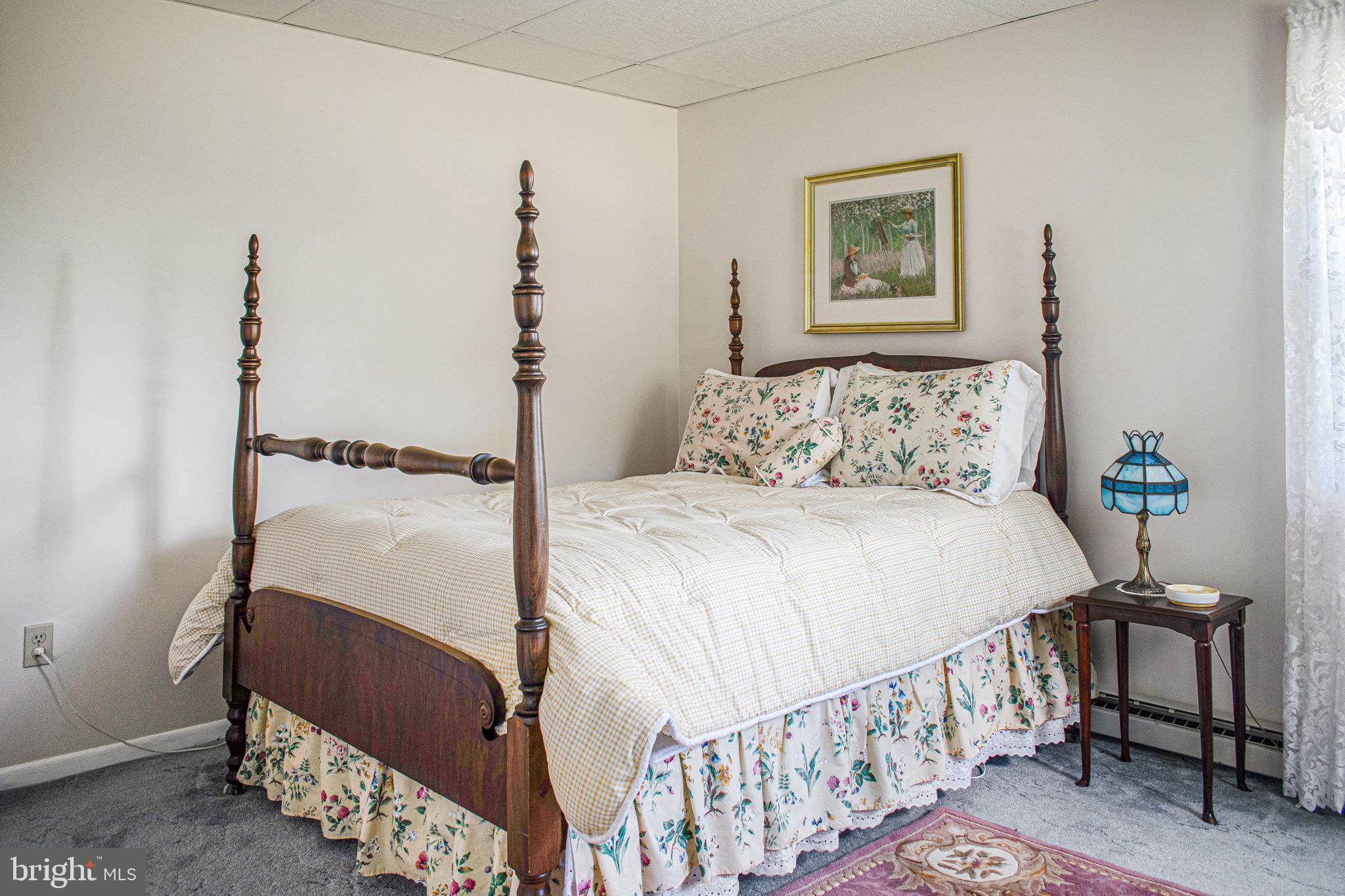 6010 Clevelandtown Road Boonsboro, MD 21713 - Photo 31 of 59 Mother-in-Law-Suite Bedroom