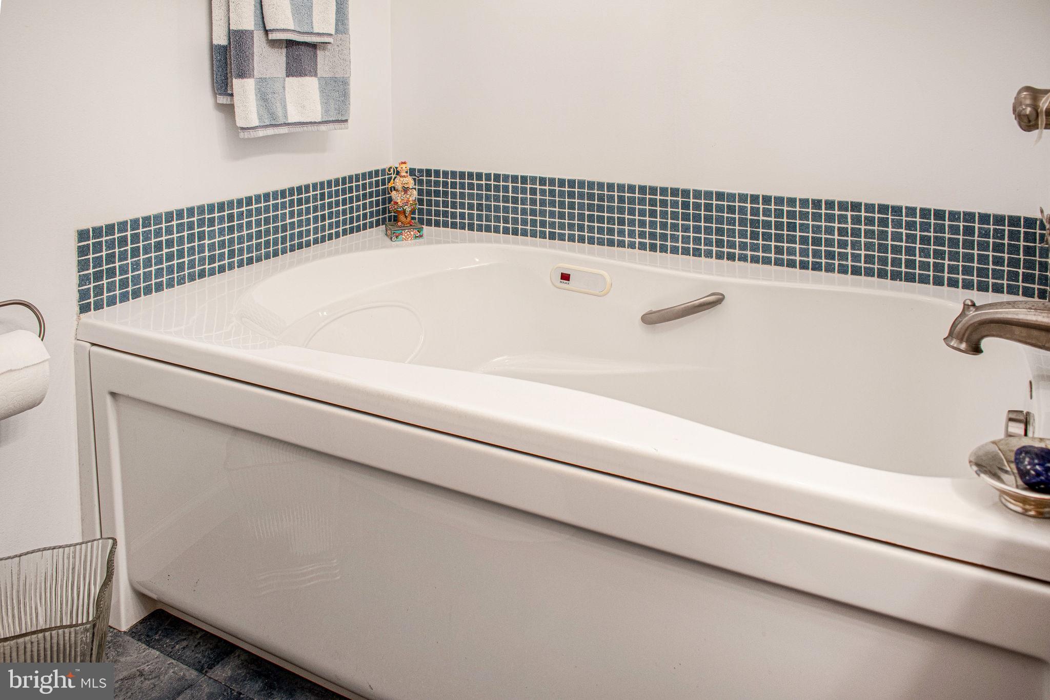 6010 Clevelandtown Road Boonsboro, MD 21713 - Photo 33 of 59 2nd Full Bathroom jet tub