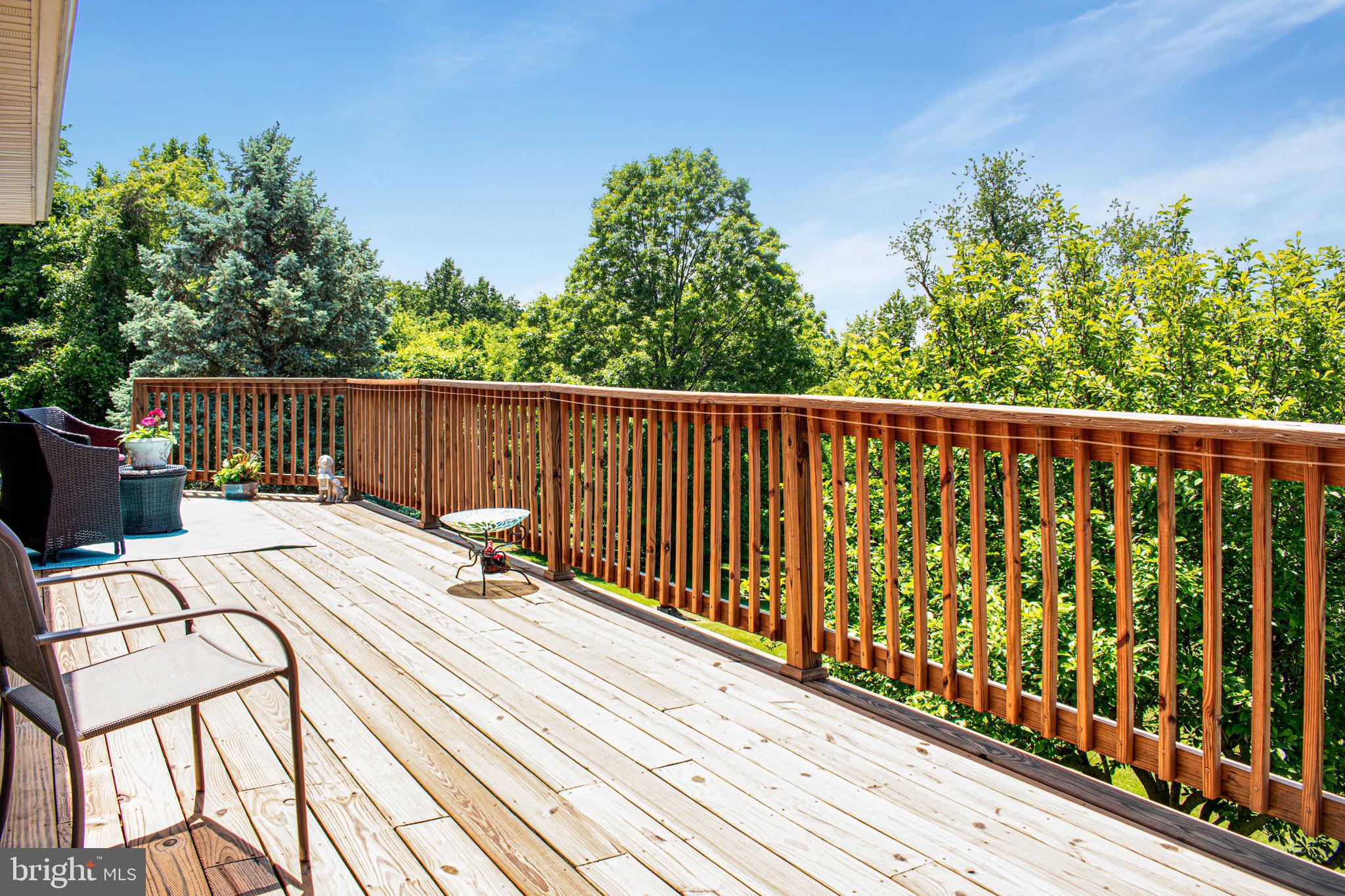 6010 Clevelandtown Road Boonsboro, MD 21713 - Photo 4 of 59 rear deck incredible entertaining & awesome views