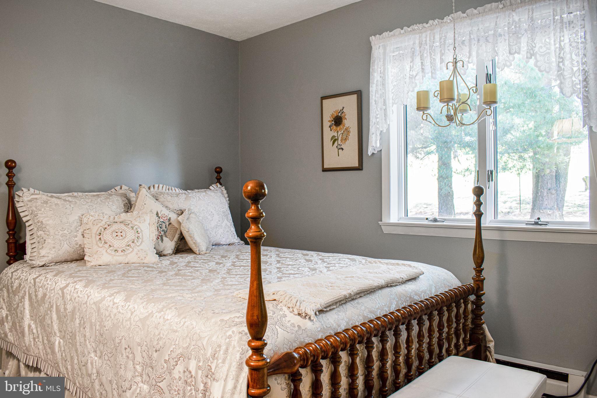 6010 Clevelandtown Road Boonsboro, MD 21713 - Photo 54 of 59 2nd Bedroom