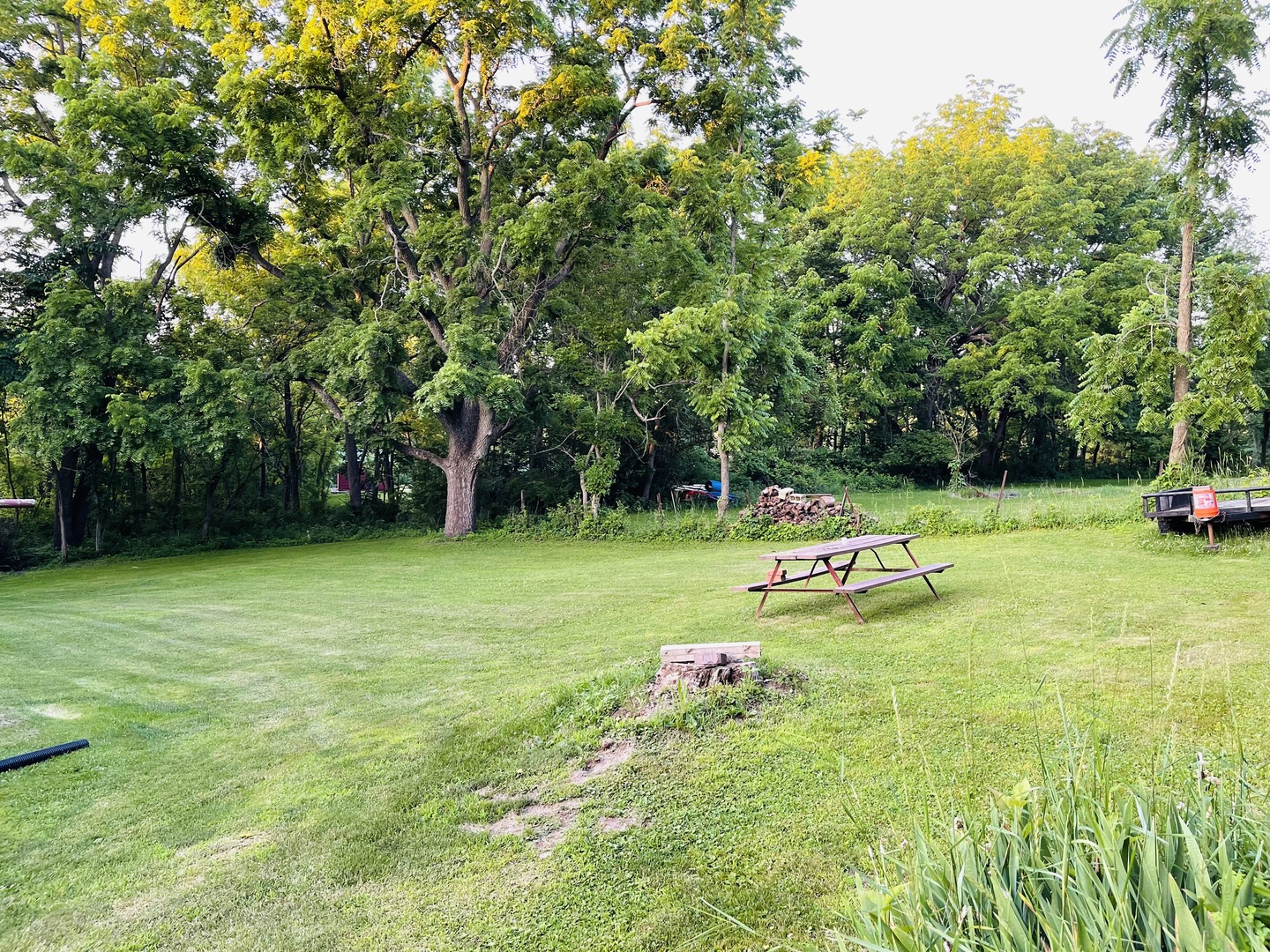 420 East 3rd Street Spring Valley, IL 61362 - Photo 3 of 4