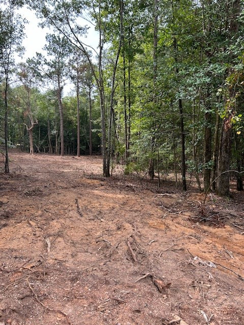 2598 Sargent Road, Unit LOT 1 Dalzell, SC 29040 - Photo 2 of 3 Gallery Image 2