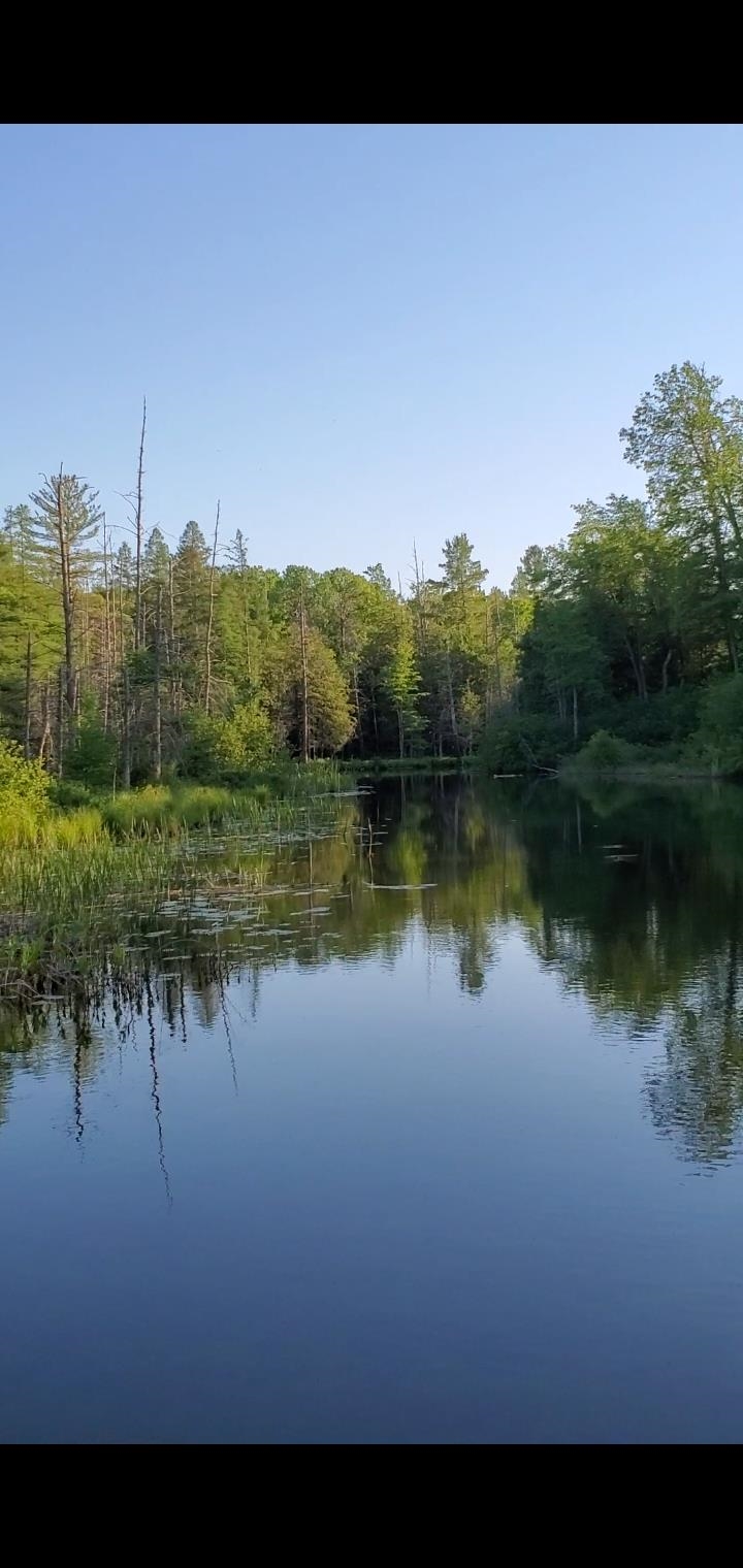 4025 Jeri Road Interlochen, MI 49643 - Photo 34 of 44