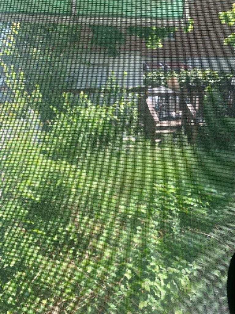 3384 Ely Avenue Bronx, NY 10469 - Photo 3 of 11 a view of a house with a yard