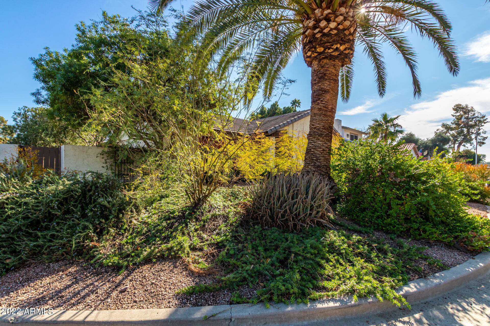 5611 South Crows Nest Road Tempe, AZ 85283 - Photo 3 of 44 Mature, Easy Landscaping