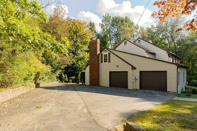 a view of backyard with large trees and plants