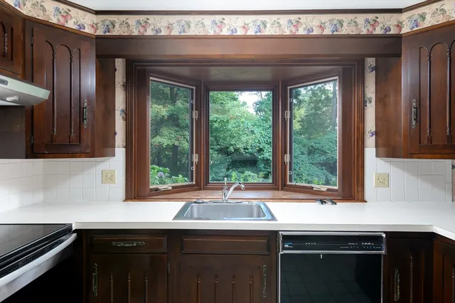 a sink a window and cabinets