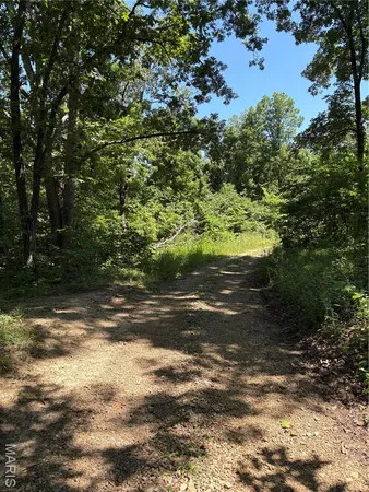 $75,500 | 511 A Wayne, McGee, MO 63763