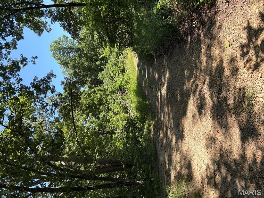 511 A Wayne McGee, MO 63763 - Photo 2 of 5