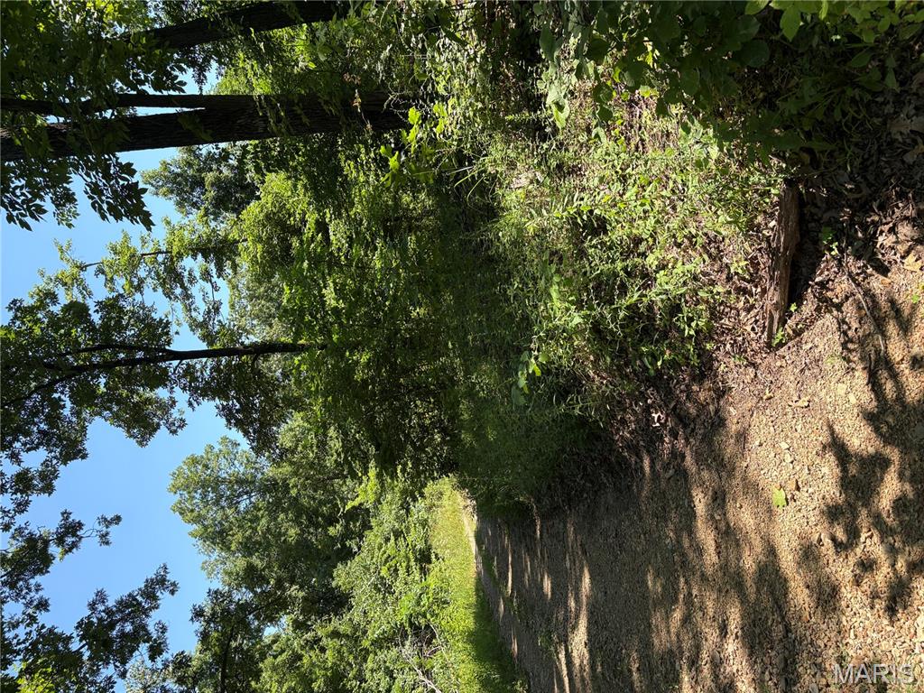 511 A Wayne McGee, MO 63763 - Photo 3 of 5