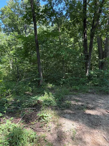 $75,500 | 511 A Wayne, McGee, MO 63763