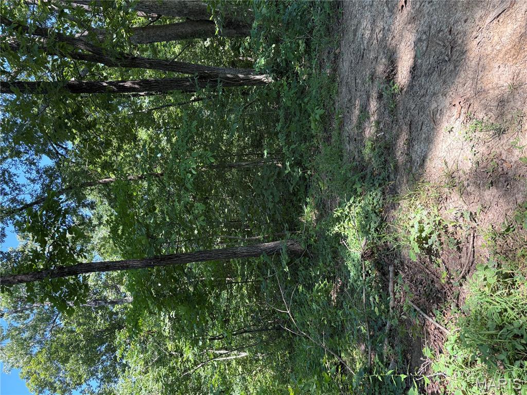 511 A Wayne McGee, MO 63763 - Photo 4 of 5