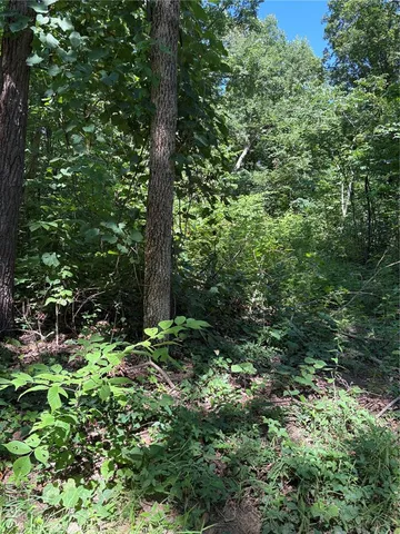 $75,500 | 511 A Wayne, McGee, MO 63763