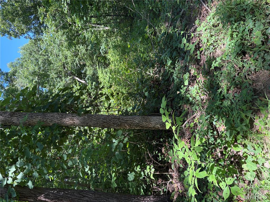 511 A Wayne McGee, MO 63763 - Photo 5 of 5