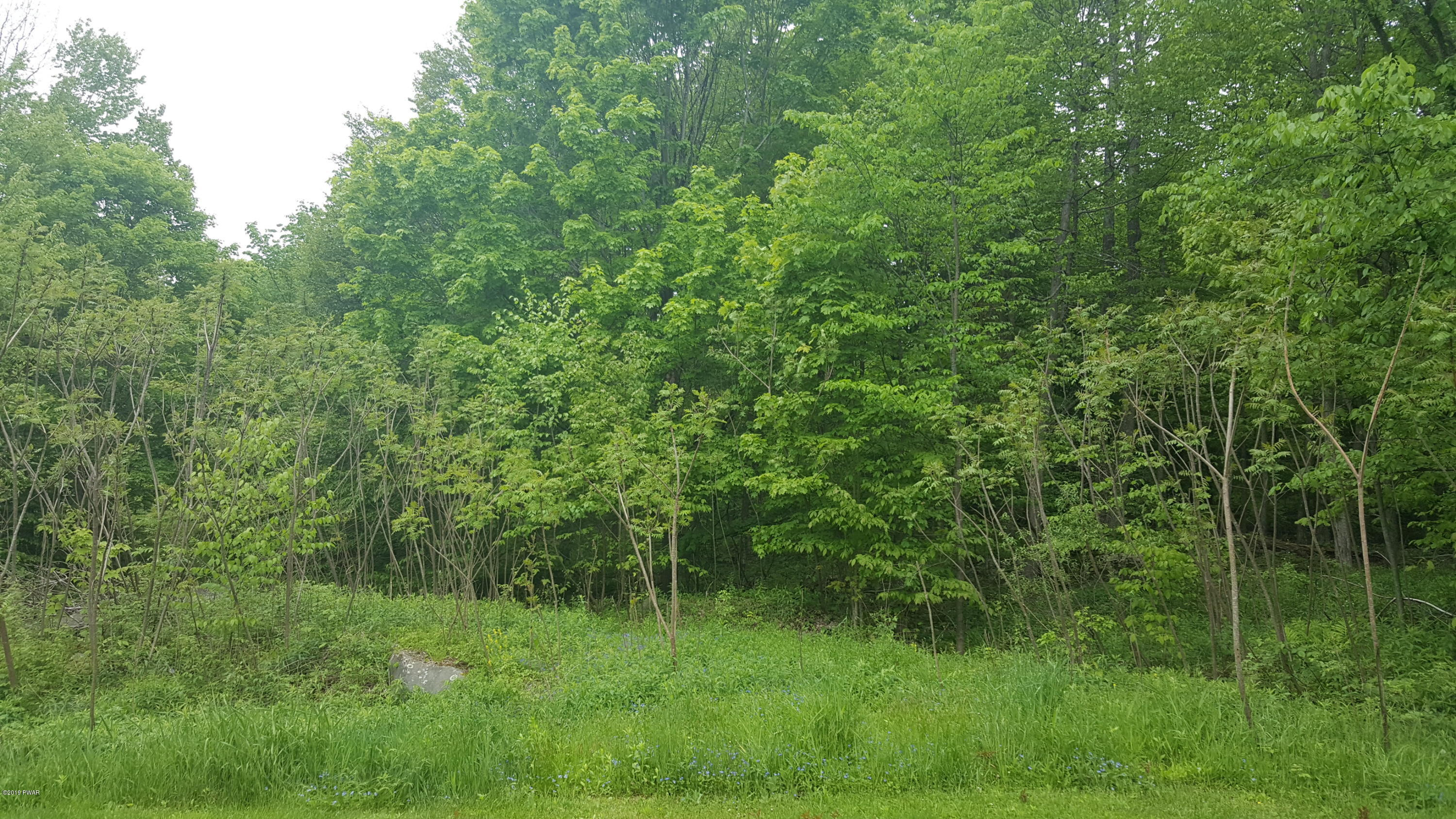 219 Hathaway Road Equinunk, PA 18417 - Photo 60 of 65
