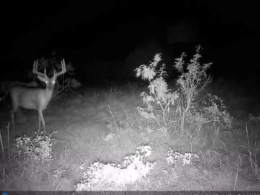 a view of a entryway