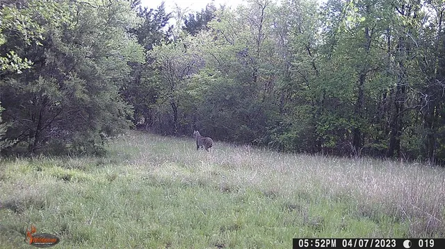 a view of outdoor space