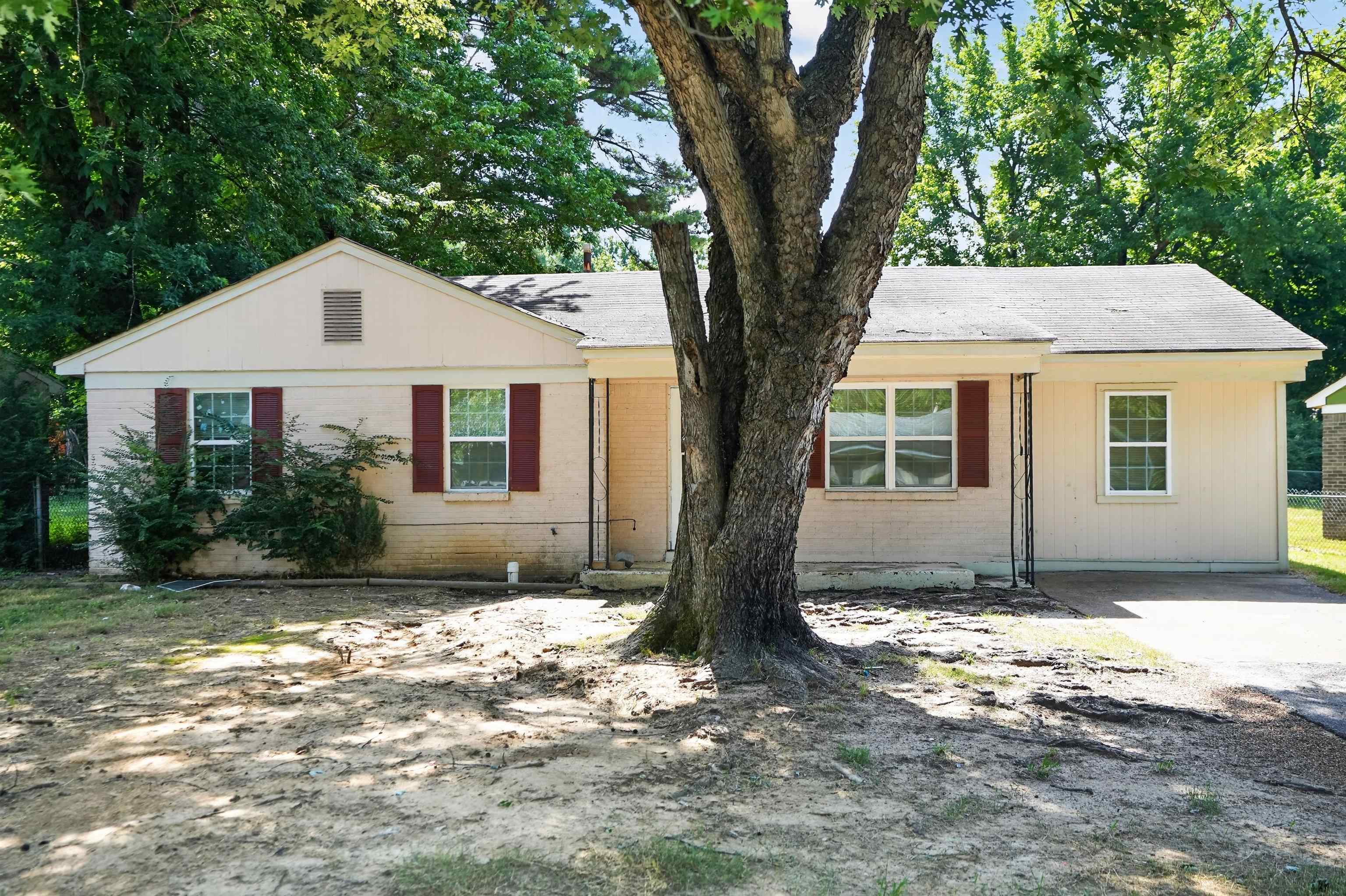 3842 Tessland Road Memphis, TN 38128 - Photo 3 of 16