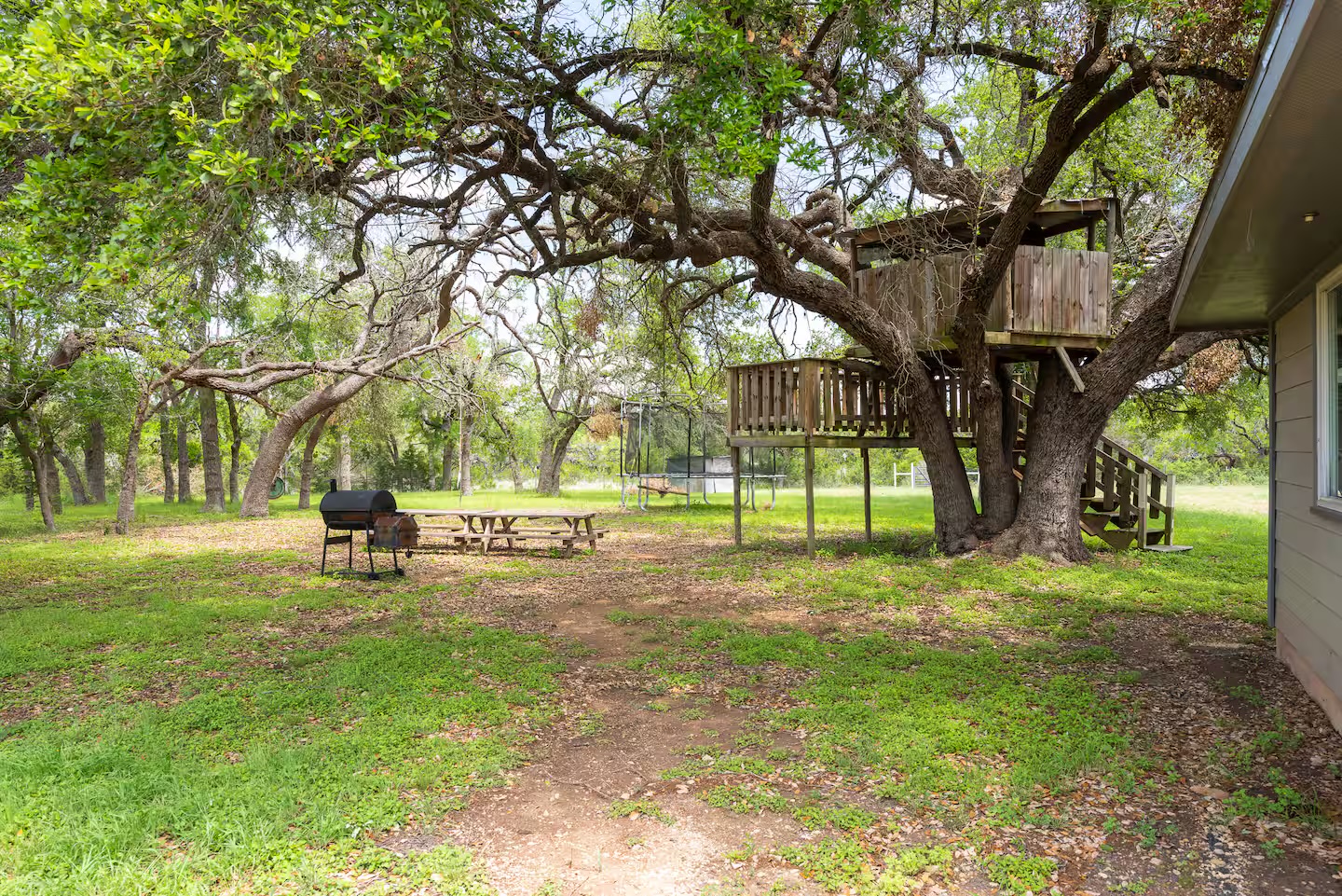 801 John Knox Road Fischer, TX 78623 - Photo 3 of 17 a view of a park with a tree