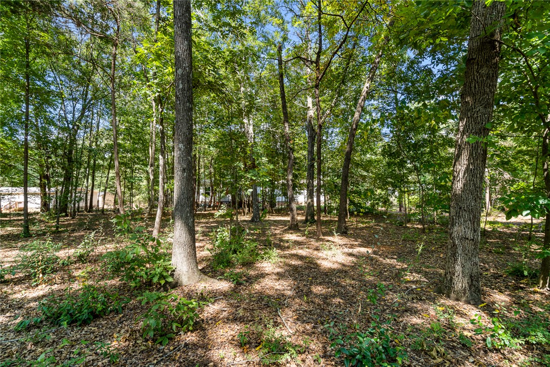 429 Gibson Road Anderson, SC 29625 - Photo 42 of 47 Mature trees shade a quiet, natural landscape on this private wooded lot.