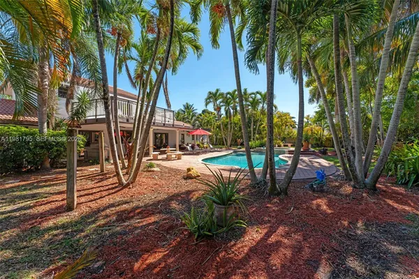a view of a park with large trees