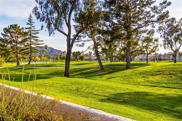 a view of a swimming pool with a garden and trees