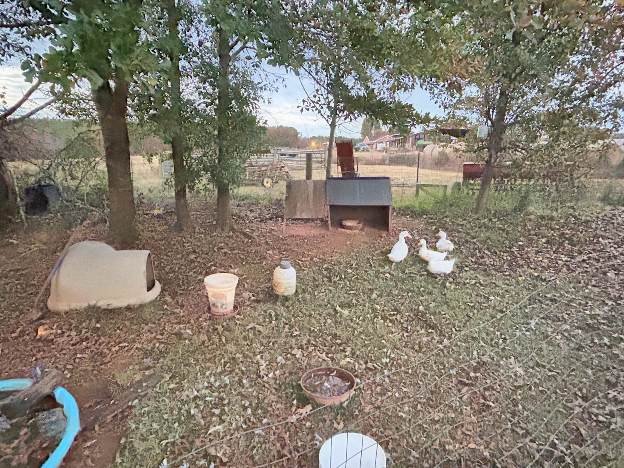 338 Beaver Ridge Road Gaffney, SC 29341 - Photo 19 of 19