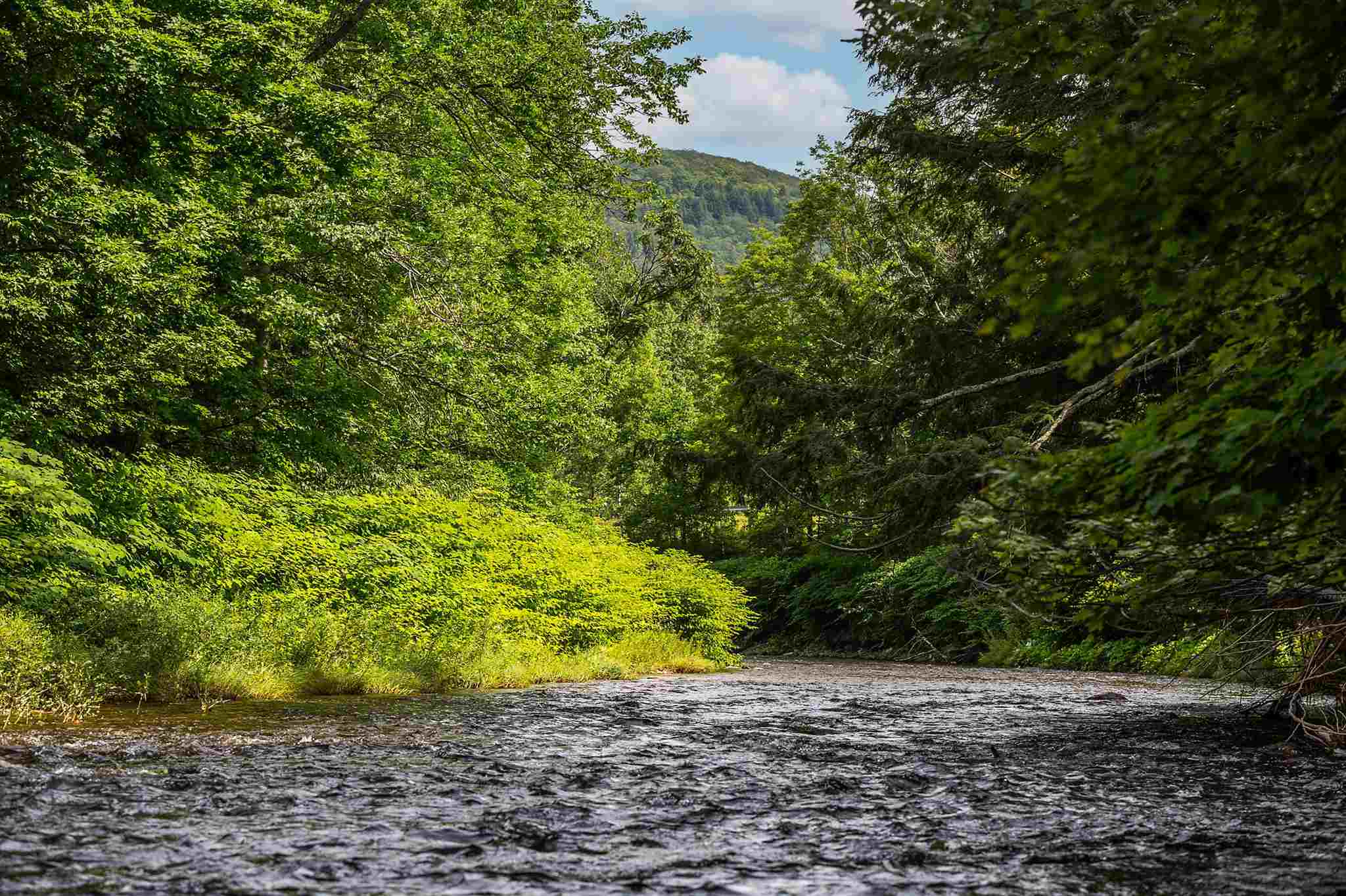 98 Vermont Rte 100 Weston, VT 05161 - Photo 40 of 40