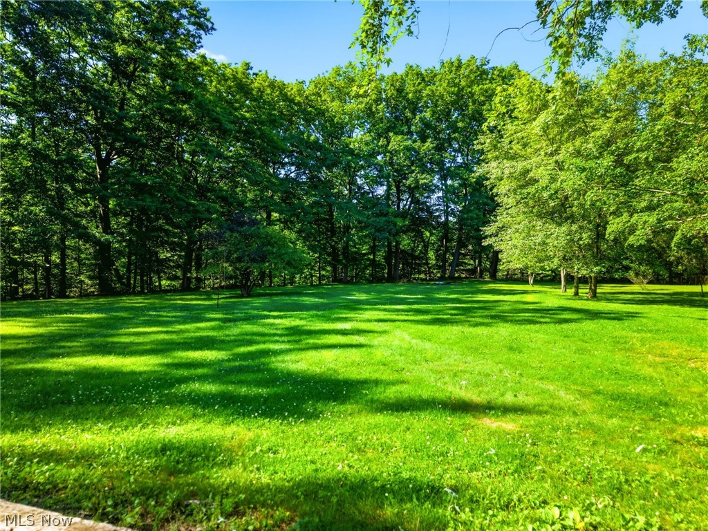 759 Runkle Avenue Ashtabula, OH 44004 - Photo 38 of 40 Expansive lawn surrounded by mature trees