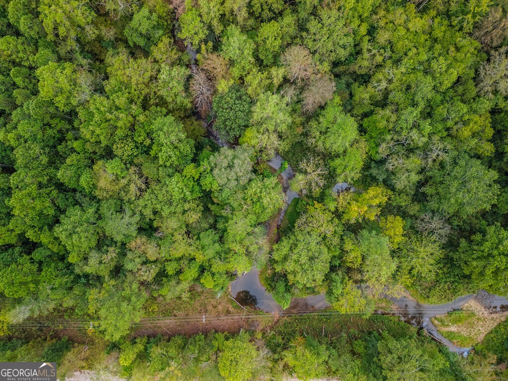 1.9-ac Old Northcutt Road Ellijay, GA 30540 - Photo 6 of 9 a view of a forest with a tree