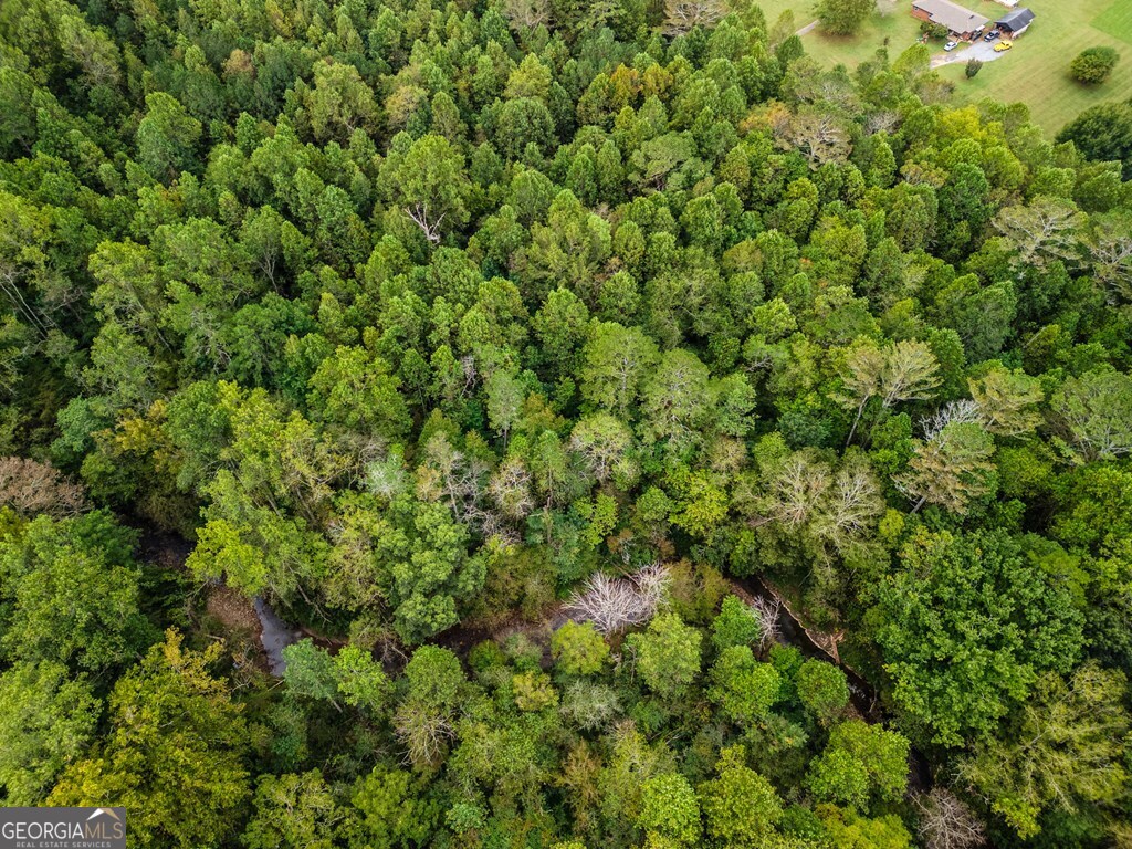 1.9-ac Old Northcutt Road Ellijay, GA 30540 - Photo 9 of 9 a view of a lush green forest with a tree