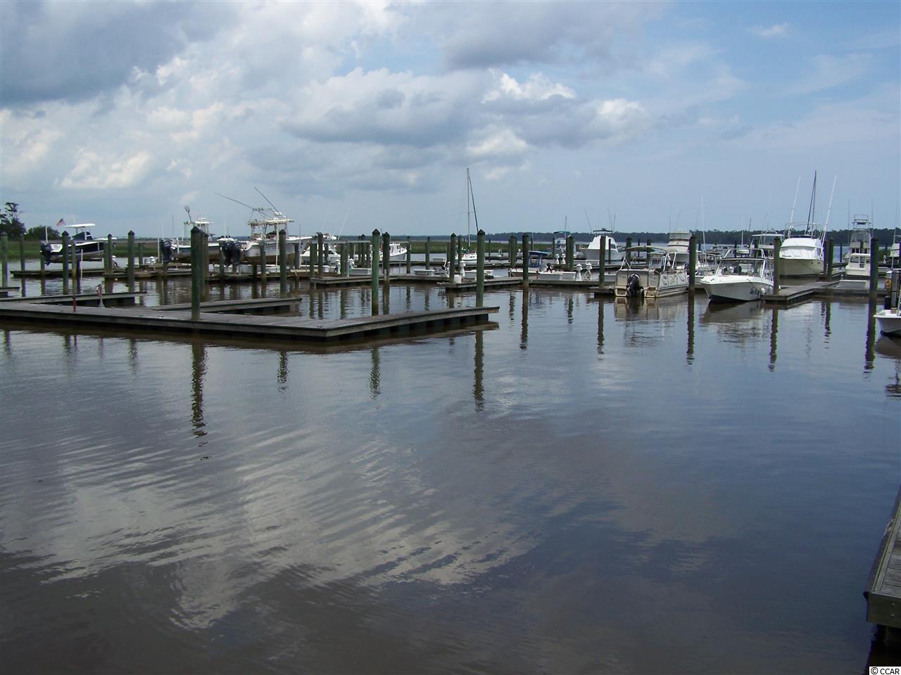 80 Bamboo Loop, Unit 171 Georgetown, SC 29440 - Photo 17 of 17 Gallery Image 17
