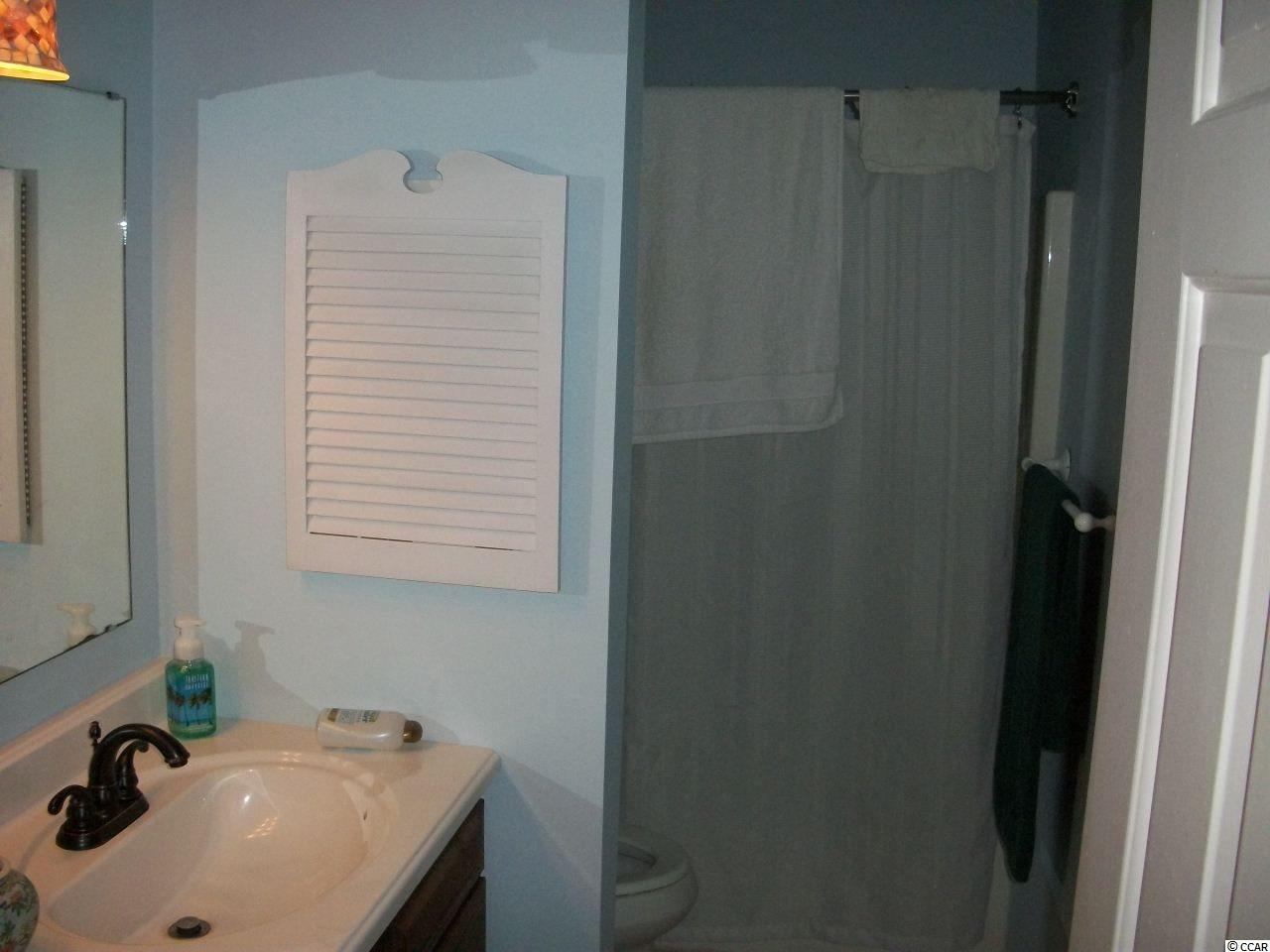 80 Bamboo Loop, Unit 171 Georgetown, SC 29440 - Photo 9 of 17 Gallery Image 9