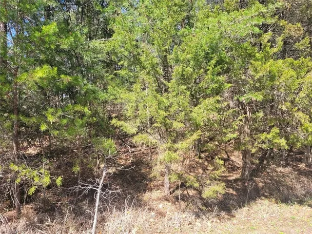 $10,000 | 0 Evelyn Drive, Trinity, NC 27370