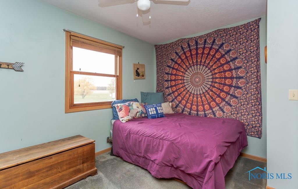 4103 Carpenter Road Defiance, OH 43512 - Photo 29 of 49 Gallery Image 29