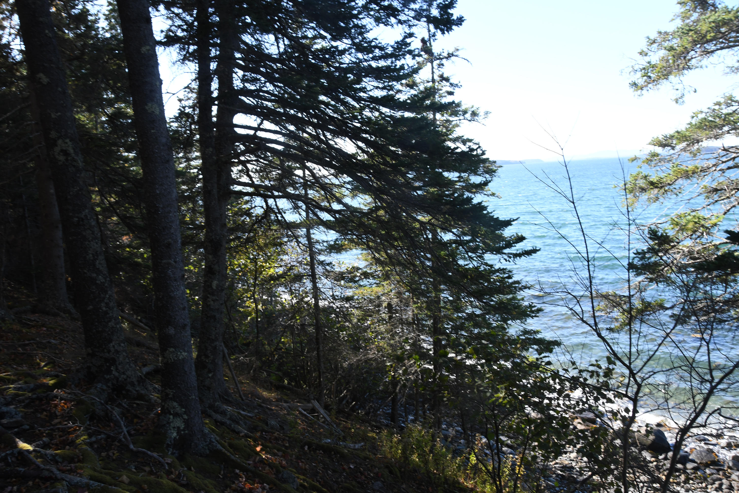 01 North Deer Isle Road Deer Isle, ME 04627 - Photo 22 of 34 20171021_AnneKeck_023