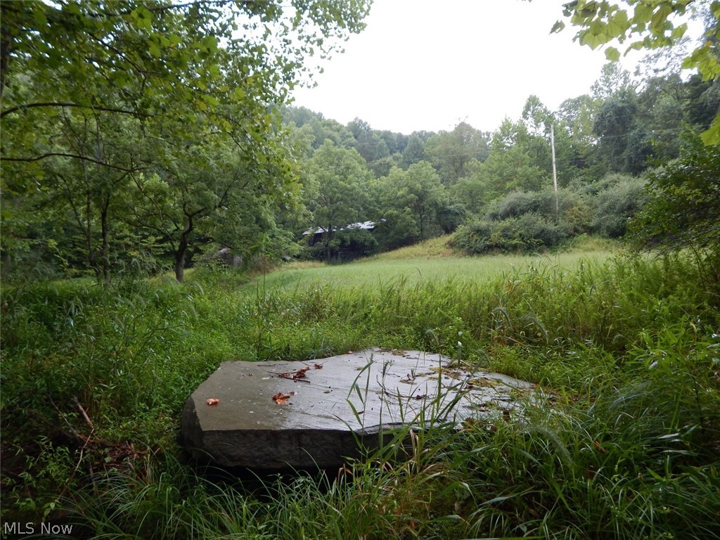 Isaac Run Road Harrisville, WV 26362 - Photo 2 of 20