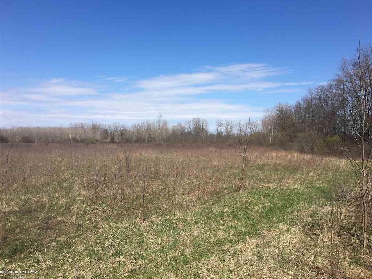 0 Masters Allenton, MI 48002 - Photo 2 of 9