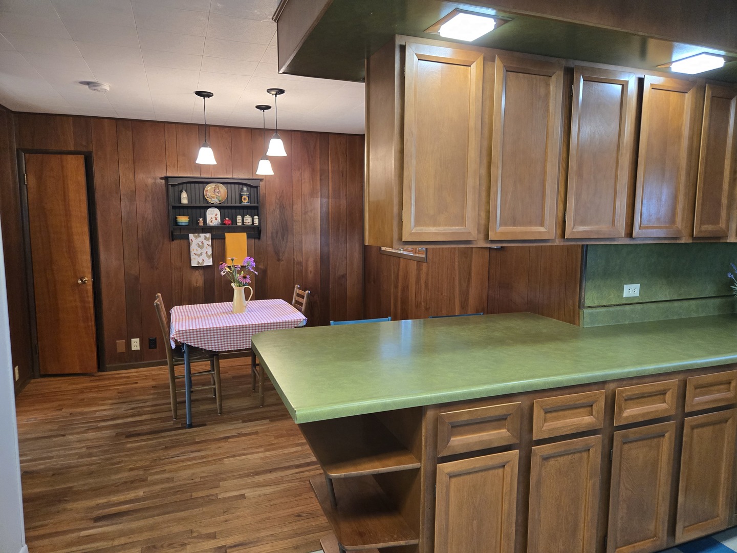 41294 East 100 North Road Bellflower, IL 61724 - Photo 26 of 43