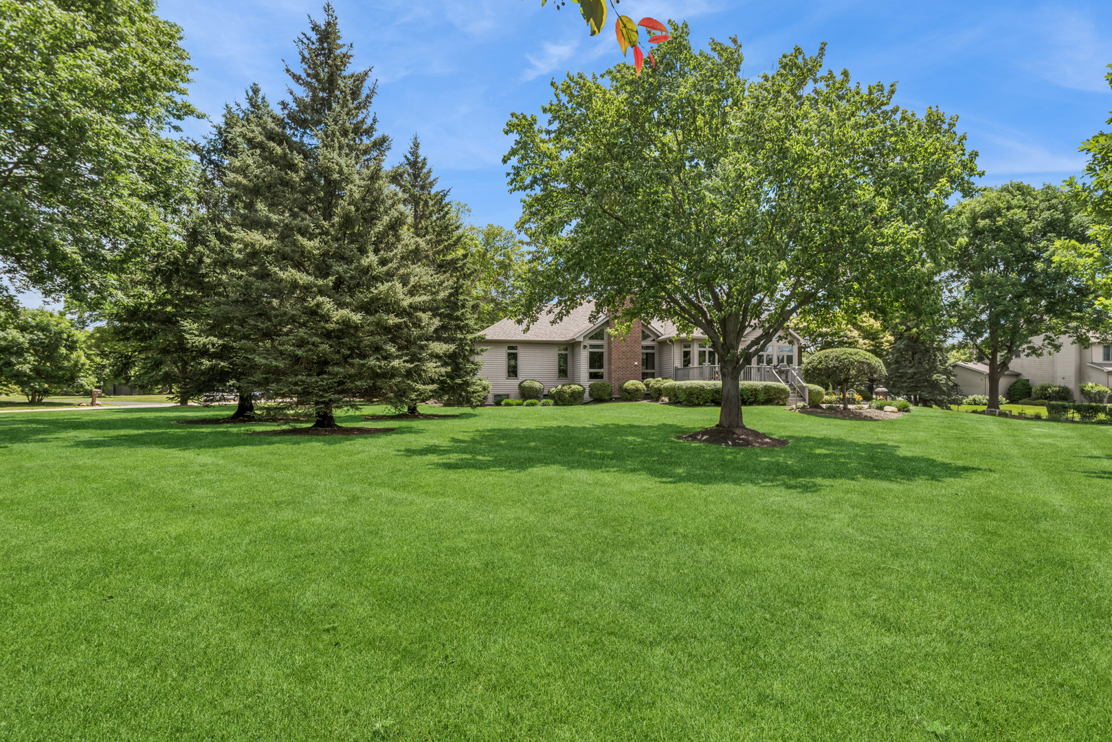 10907 Red Hawk Lane Spring Grove, IL 60071 - Photo 34 of 44 a view of a house with a yard