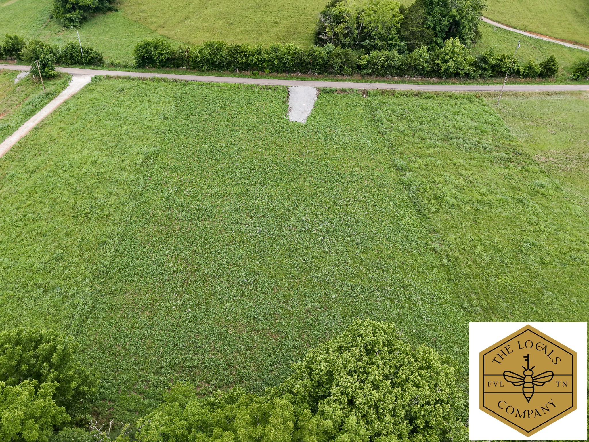 386 Cathcart Road Frankewing, TN 38459 - Photo 8 of 15