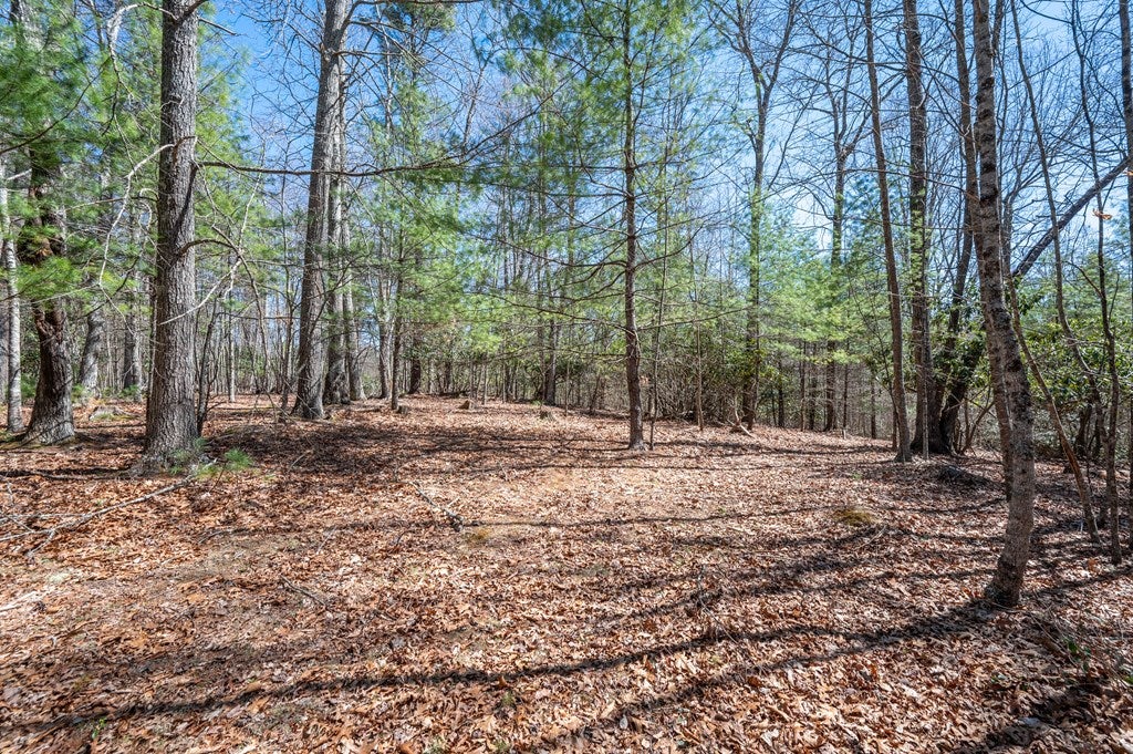 Lot 12 Ridge Line Trail, Unit 12 Independence, VA 24348 - Photo 18 of 66 Gallery Image 18