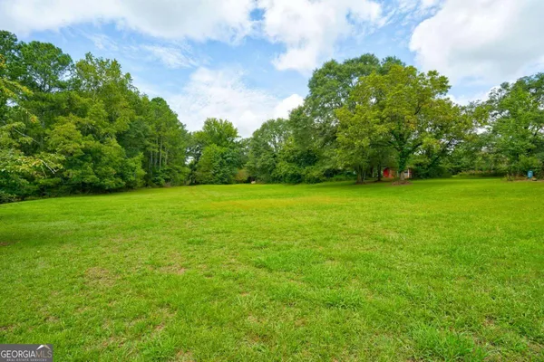 a view of a green field with lots of bushes