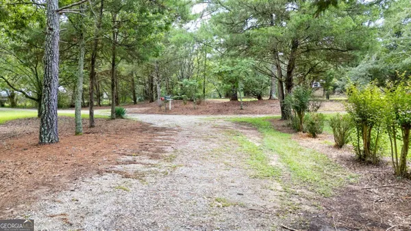 a view of backyard with tree