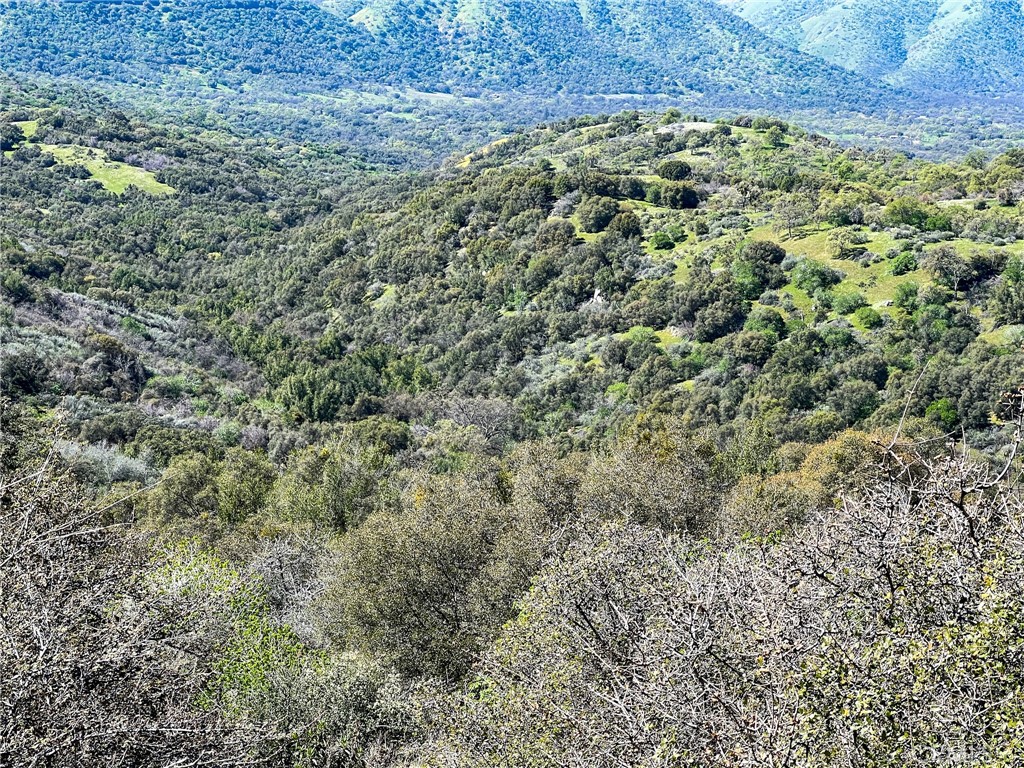 44981 Todd Eymann Road Dunlap, CA 93621 - Photo 23 of 74