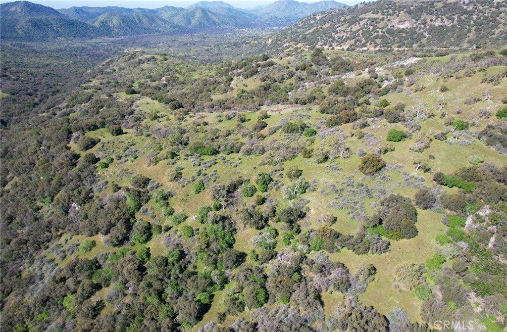 44981 Todd Eymann Road Dunlap, CA 93621 - Photo 26 of 74