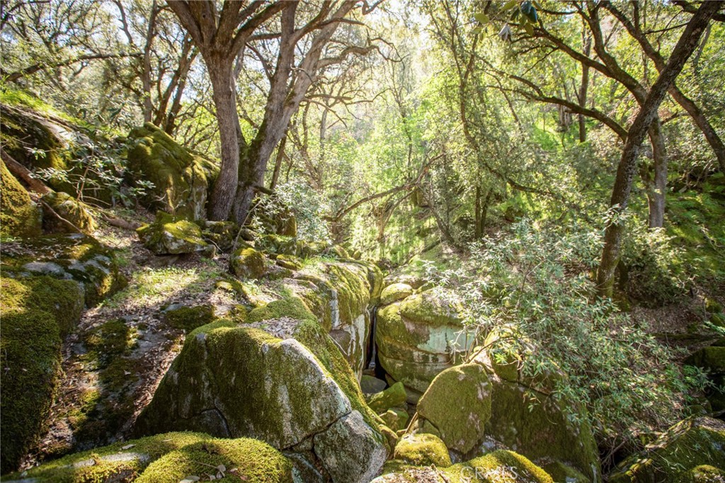 44981 Todd Eymann Road Dunlap, CA 93621 - Photo 28 of 74